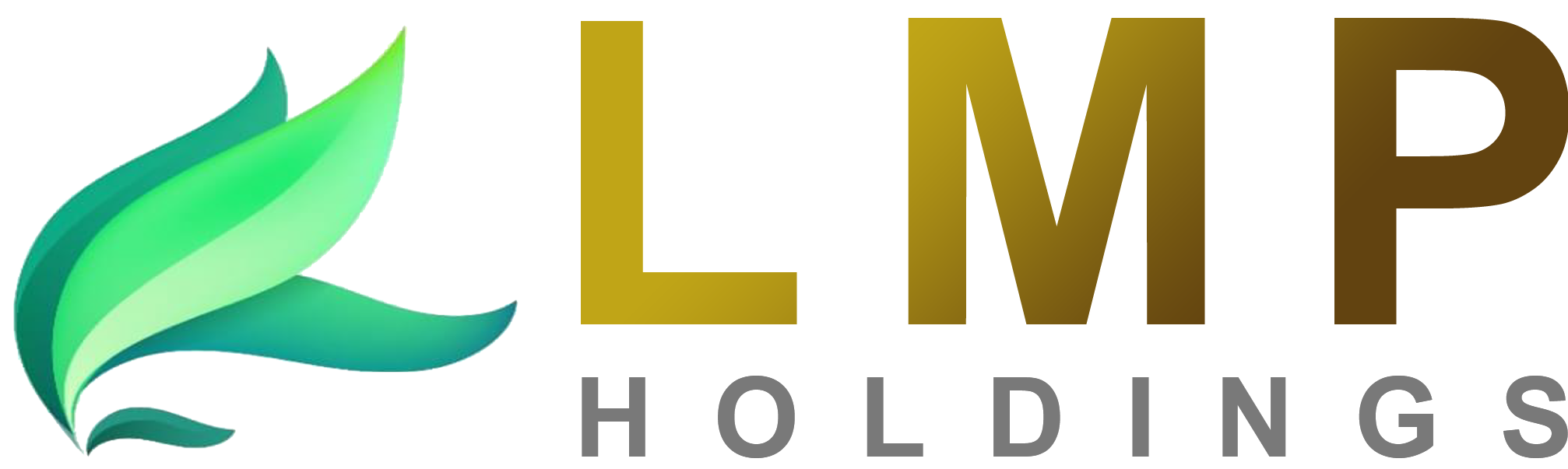 LMP Holdings